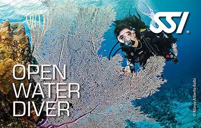 Open Water Diver Course